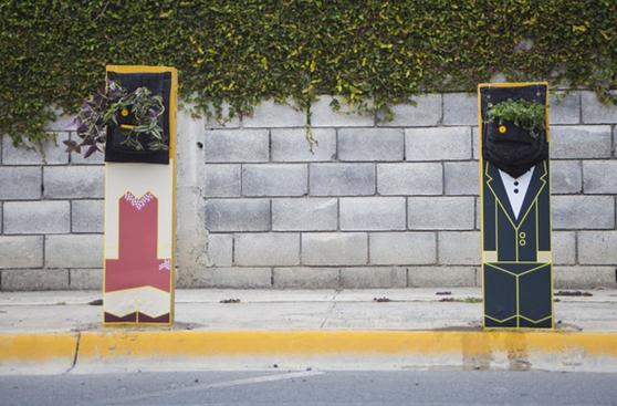 Ten tu propio jardín vertical en casa con Cara de Planta