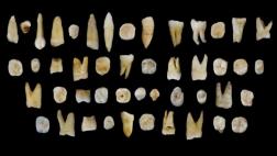 Migración del 'Homo sapiens' ocurrió antes de los que se creía
