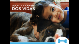 Wuf y la adopción de mascotas en la era digital