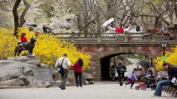 Guía 'low cost' para viajar a Nueva York