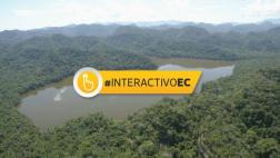 Bonos de carbono evitan la deforestación de 30 mil hectáreas