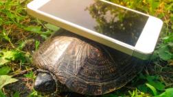 ¿Por qué las webs cargan demasiado lento en tu celular?