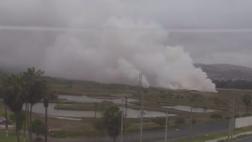 Chimbote: incendio consume áreas verdes de Vivero Forestal