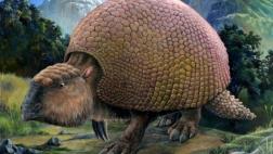 Hallan fósil de un mamífero gigante en Uruguay