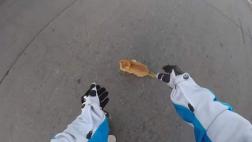 Youtube: Motociclista salvó a gato en medio de la pista