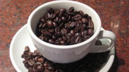 Expo Café: Los mejores cafés reunidos en una feria
