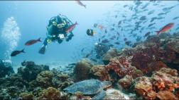 Investigan los efectos de El Niño en las islas Galápagos