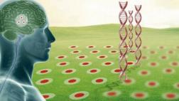 Hallan clave para detectar el Alzheimer de manera temprana