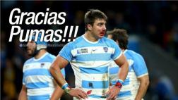 Mundial de Rugby: Maradona felicitó la entrega de los Pumas