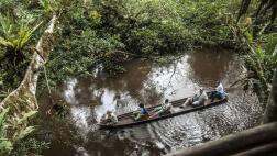 Perú Regiones: algunas ofertas para visitar nuestra Amazonía