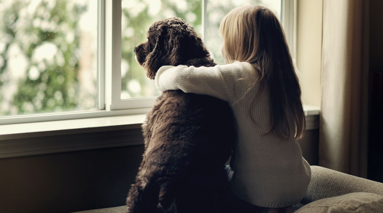 Amigo fiel: cómo elegir el perro perfecto para tus hijos
