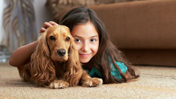 Amigo fiel: cómo elegir el perro perfecto para tus hijos