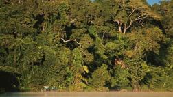 La ONU distinguirá al Perú por proyecto de conservación