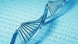 El ADN "basura" determinaría la evolución del cáncer