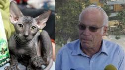 Ministro israelí propone deportar a los gatos callejeros
