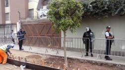 Magdalena plantó árboles nuevos tras protesta de vecinos