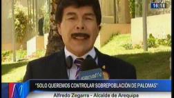 Alcalde de Arequipa: “Yo no quiero eliminar a las palomas”