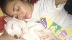 Miley Cyrus enternece en Instagram con su nueva mascota