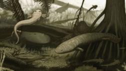 Descubren fósiles de dos nuevas especies de anfibios extintos