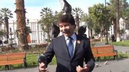 Palomas en Arequipa: ¿Cómo controlar la sobrepoblación?