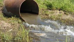 Gas hecho de heces daría energía a 10 millones de familias