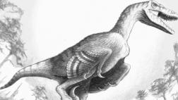 Científicos hallan nueva especie de dinosaurio alado