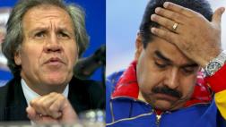 OEA: "Venezuela no garantiza justicia electoral"