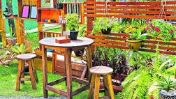 Cómo crear un jardín atractivo dentro de casa