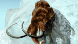 El cerebro del mamut sería idéntico al del elefante moderno
