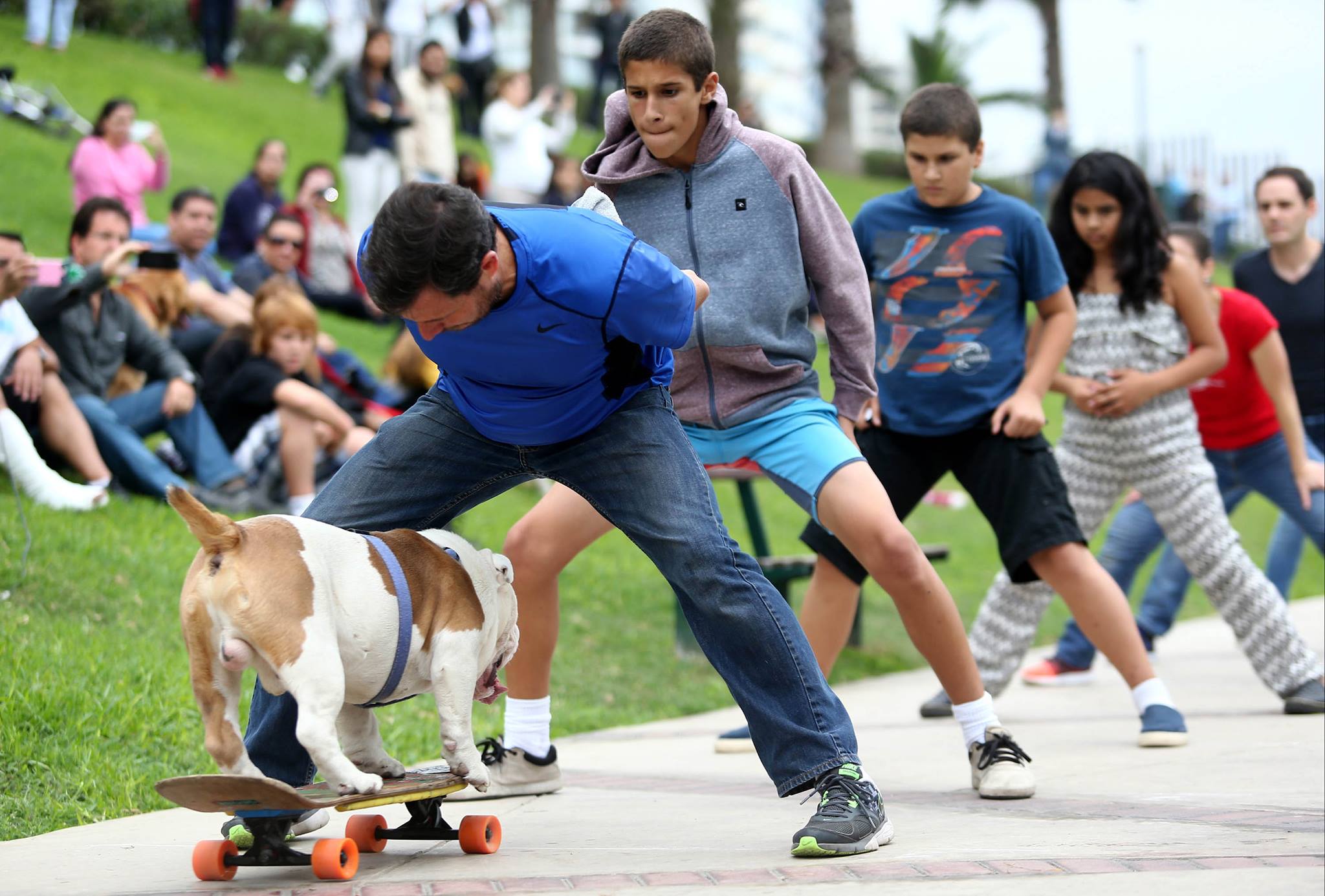 Otto: el perro skater peruano que rompió un récord Guinness
