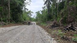 Ordenan paralizar construcción de carretera cerca del Manu