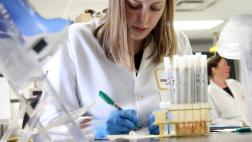 Tres historias de microbios en el cerebro