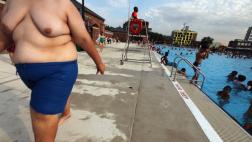 Reducir la flora intestinal puede combatir la obesidad