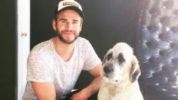 Miley Cyrus ayudó a su ex, Liam Hemsworth, a adoptar un perro