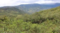 ¿Por qué se perdieron los trabajadores en el Cerro Negro?