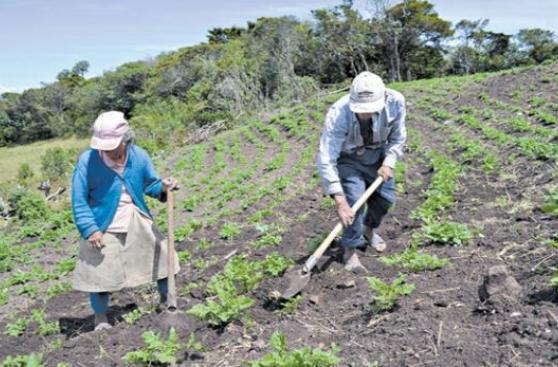 Bonos agrarios: ¿afectará al país la disputa por su pago?