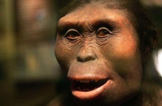 ¿Cómo hallaron a Lucy, la Australopithecus?