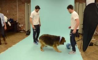 Selección uruguaya alentó adopción de mascotas con calendario