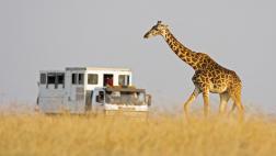 Todo lo que debes saber para planificar tu viaje a África