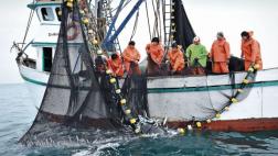 Pesca sostenible en Perú: plantean 7 acciones para conseguirlo