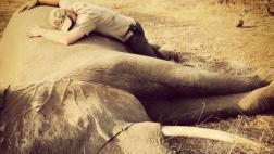 El príncipe Harry compartió imágenes de su viaje a África