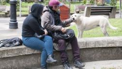 Para estos perros el desamparo no es mayor problema