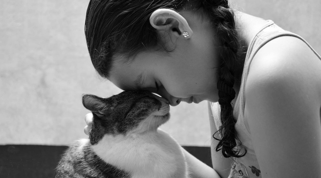 Fotógrafos que inmortalizan a tu mascota en una sesión de fotos
