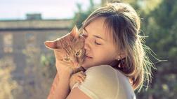 ¿Alérgica a los gatos? Si te gustan, hay solución