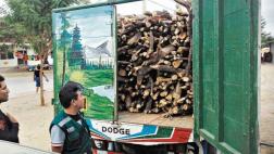 Tala ilegal depreda miles de hectáreas de bosque seco del norte