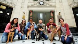 WUF y El Comercio, unidos contra el abandono de animales