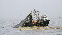 Produce: pesca de anchoveta ya superó el 50% de la cuota