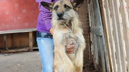 WUF lanza su programa de voluntariado con éxito