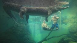 El parque en Australia donde podrás nadar con cocodrilos