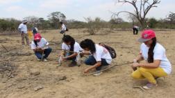 Lambayeque: universitarios reforestan el Bosque de Pómac